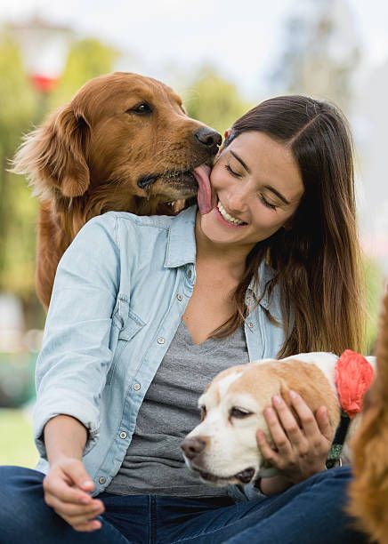 El Entrenamiento en Casa: Tips para Educar a tu Perro